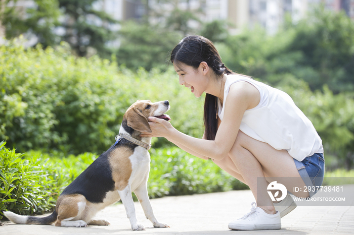 年轻女子和宠物狗嬉戏