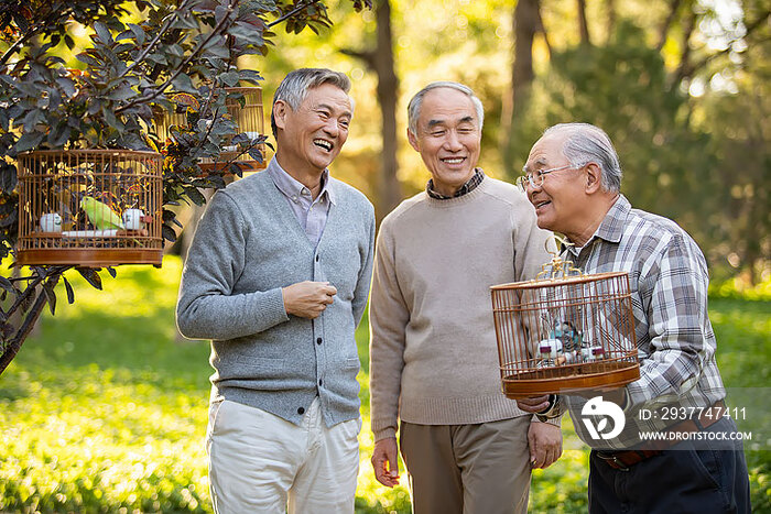 快乐的老年人在公园遛鸟