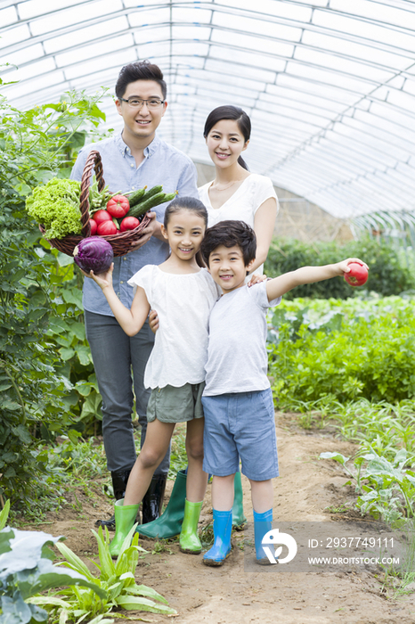 年轻家庭采摘新鲜蔬菜