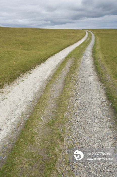 Path Across a Countryside Grassland