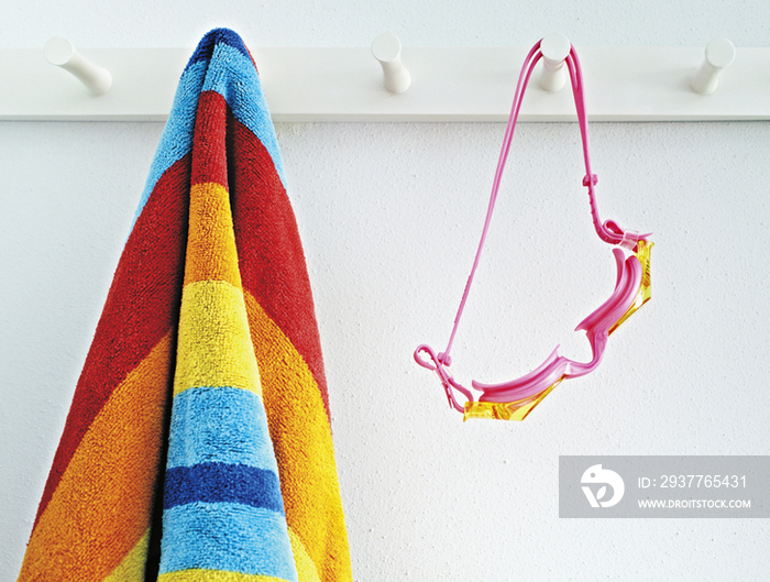 Beach Towel and Goggles