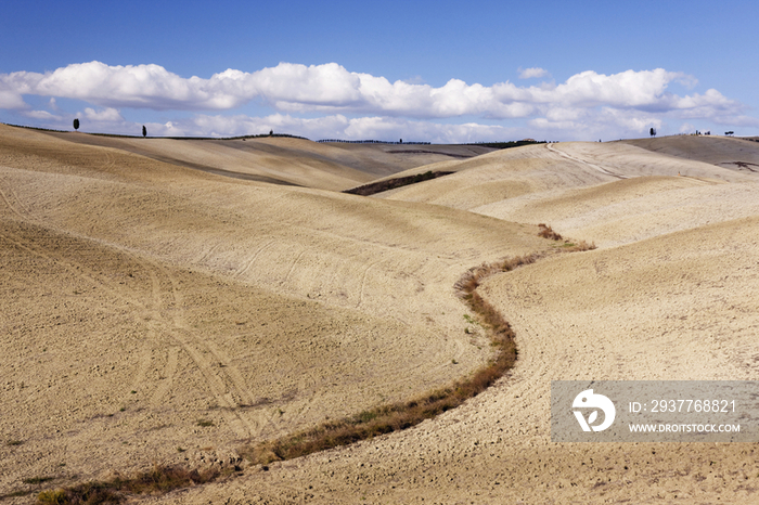 Desert Landscape