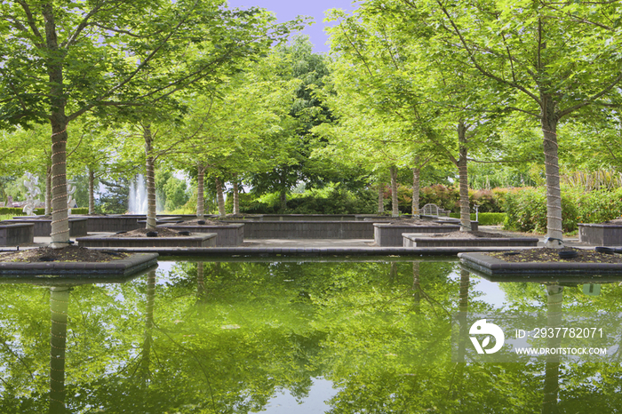 Bosque Garden Plaza reflecting pools at Oregon Gardens