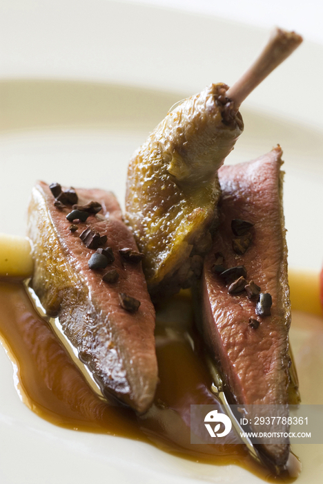 Pigeon with cocoa beans