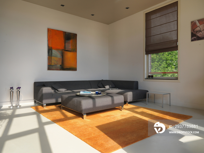 Orange rug with brown sofa set in spacious living room at home