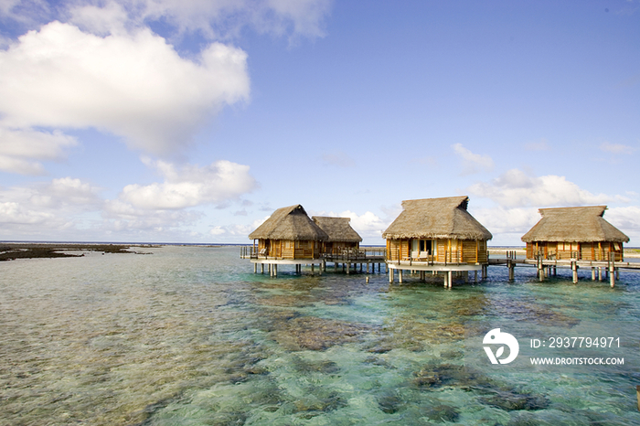 French Polynesia, Bora Bora. Tikehau Pearl Beach Resort