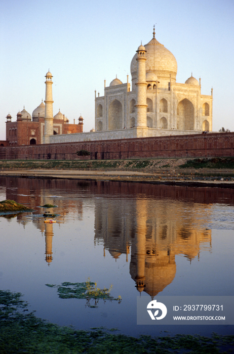 India, Agra, the Taj Mahal