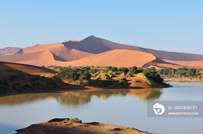 纳米布沙漠被洪水淹没的Sossusvlei