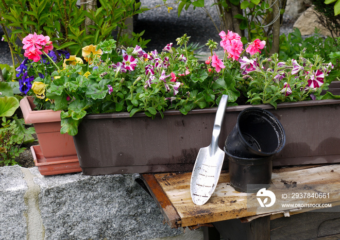 Pflanzen Garten Blumenkästen