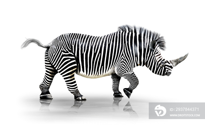 Zebra-Horn