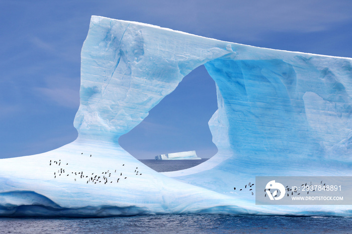 Eisberg mit Pinguinen -冰山和企鹅