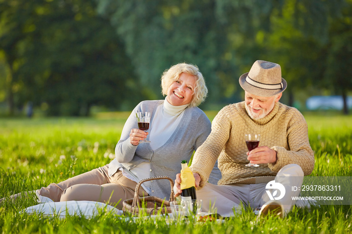 Paar Senioren trinkt Wein beim Picknick