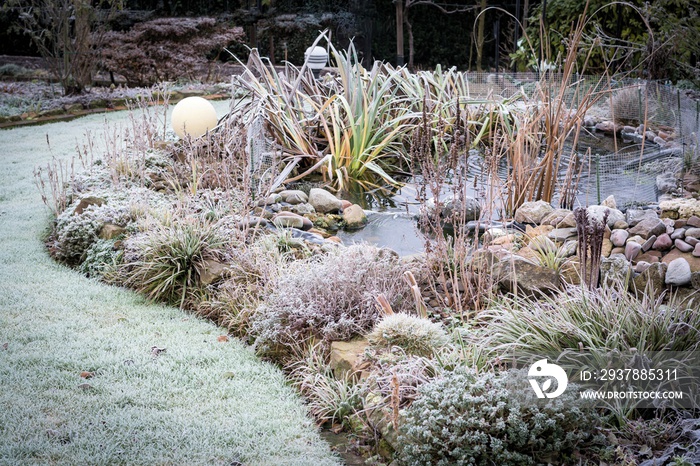 Frost im Garten mit Teich