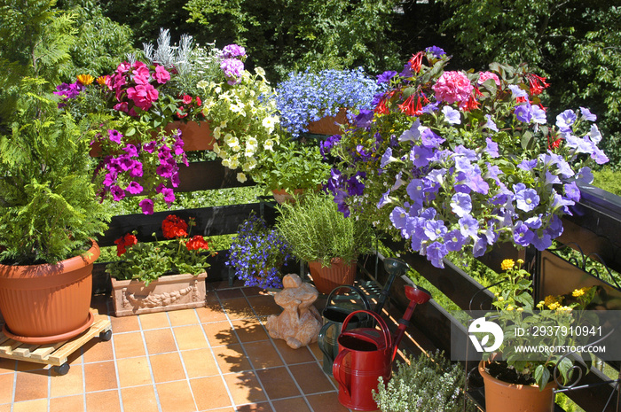 Balkon mit Sommerblumen。