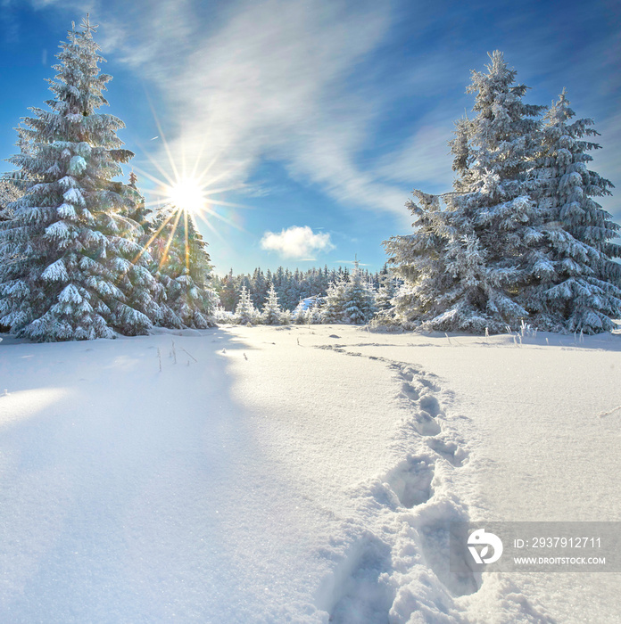 Fußspuren im Tiefschnee