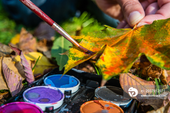 herbstliche Deko Blätter anmalen