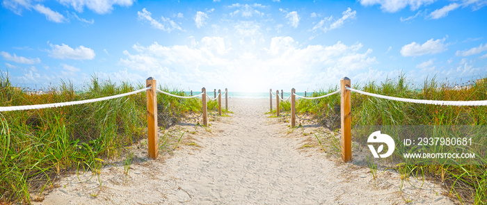 在一个美丽的夏日早晨，通往佛罗里达州迈阿密海滩的沙滩和海洋的沙滩小径
