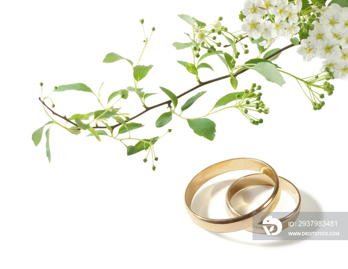 wedding rings and white flowers