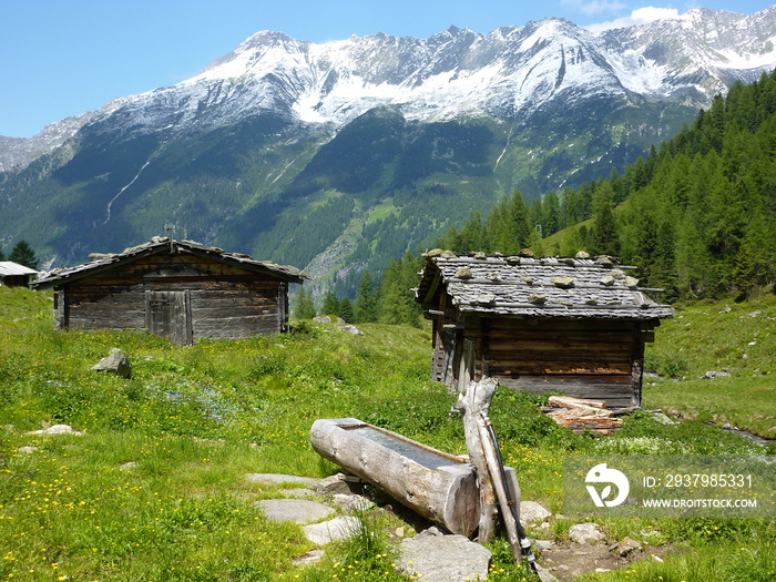 Almhütten mit Holzbrunnen