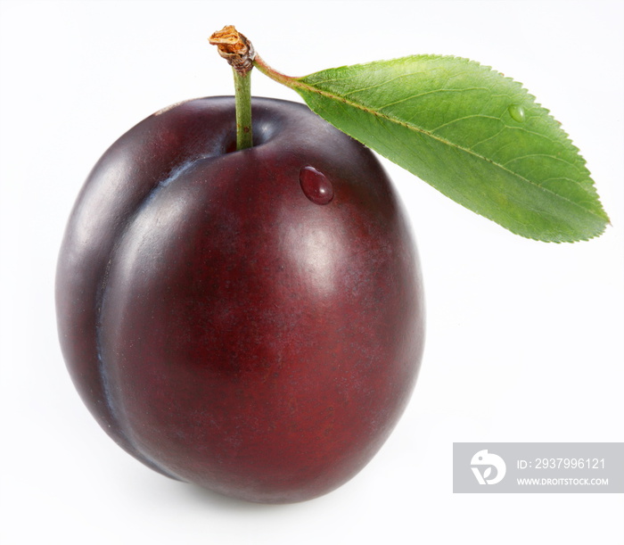 Plum on a white background