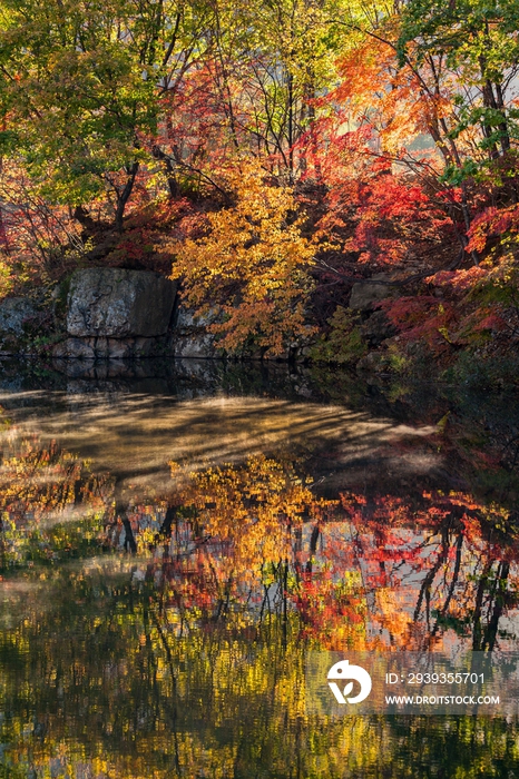 辽宁本溪秋天红叶