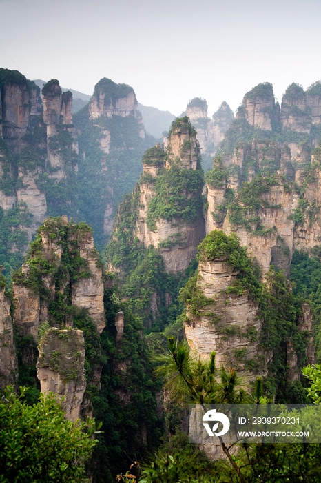 湖南,张家界,天子山,