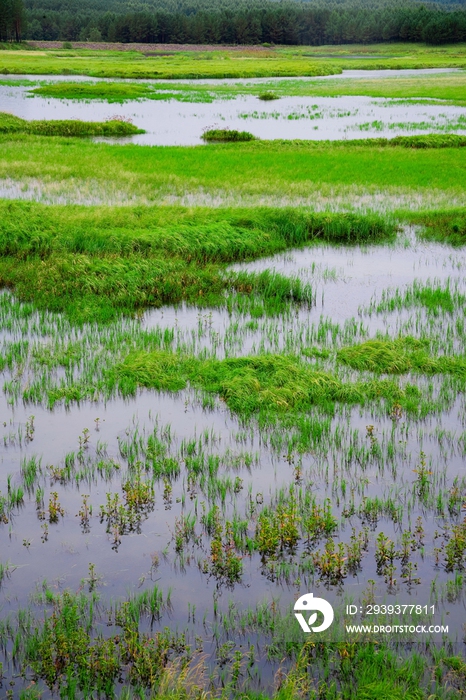 内蒙,坝上,乌兰木统,乌兰木统草原,红山,军马场,草原,草地,