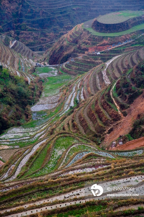 龙脊梯田