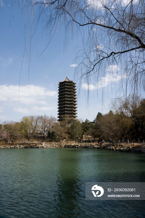 北京大学