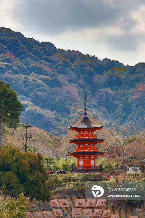 日本清水寺