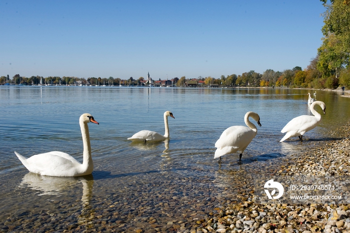 德国慕尼黑周边基姆湖(Chiemsee)